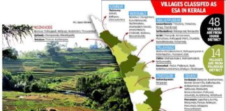 How Kerala could avoid such massive disaster